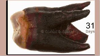 _20210703090852 _20210703090852